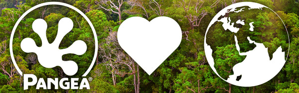 A rainforest with Pangea's logo, a heart, and the Earth in front of it