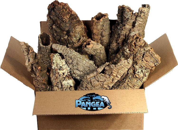 Cork Bark by the Pound - Mixed Flats and Small Rounds - Pangea Reptile product image