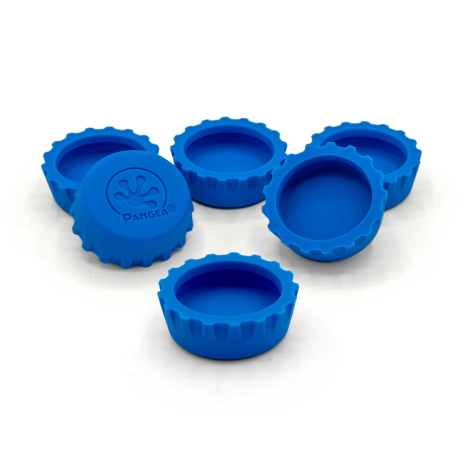 https://cdn.shopify.com/s/files/1/0089/8567/3828/products/6-PackSiliconeBottleCap-Blue_1600x.png?v=1666198416