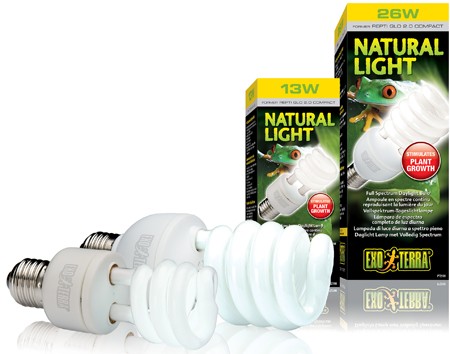 analogie Nauwkeurigheid voorjaar Exo Terra Natural Daylight Bulb | UVB Lamps | Pangea Reptile - Pangea  Reptile LLC