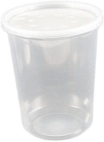 16oz Pre-Punched Deli Cups – Groveland Gecko