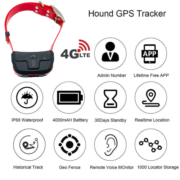 4G dog tracker