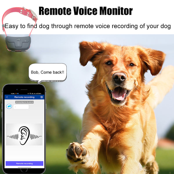 remote voice monitor