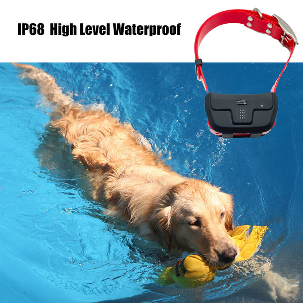 waterproof dog gps