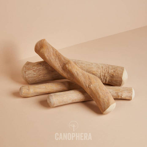 A pile of tough, wood dog chews resting on a neutral background.