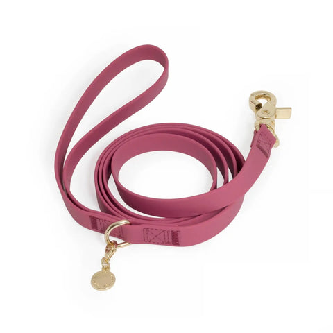 Burgundy Waterproof Leash - Modern Companion