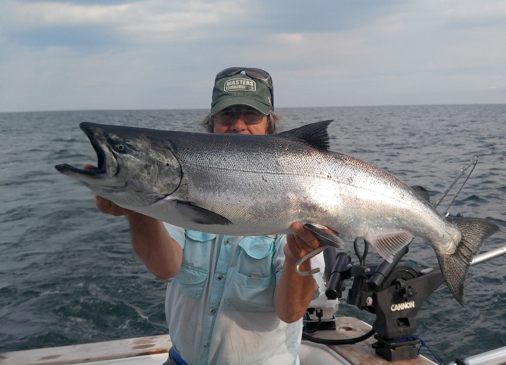 great lakes salmon fishing king chinook fish 