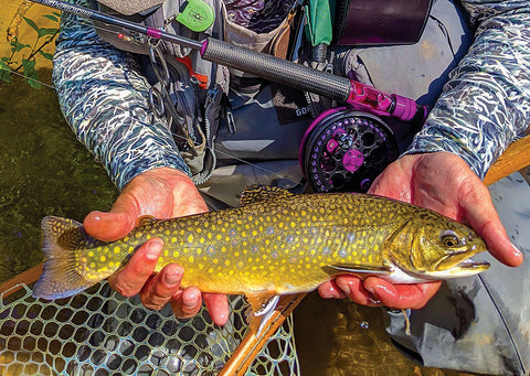 CENTERPINS: NOT JUST FOR STEELHEAD AND SALMON - by Danny Colville – Great  Lakes Angler