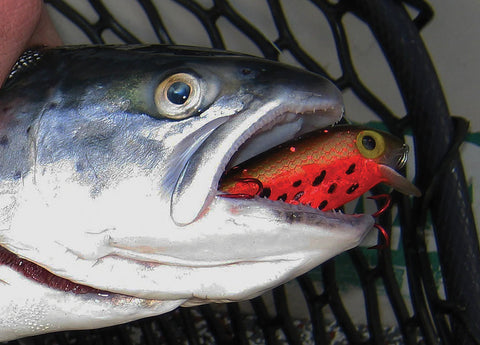 CRANKBAIT TWEAKS FOR FUN AND FISH - Captain Mike Schoonveld