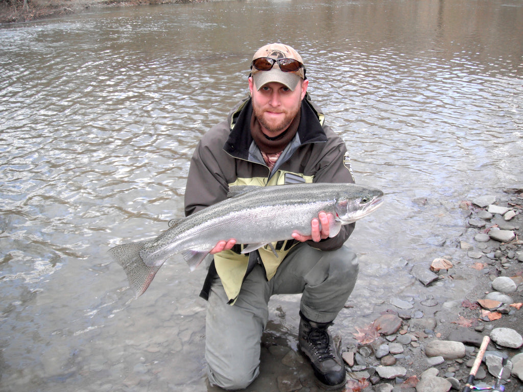 steelhead fishing great lakes