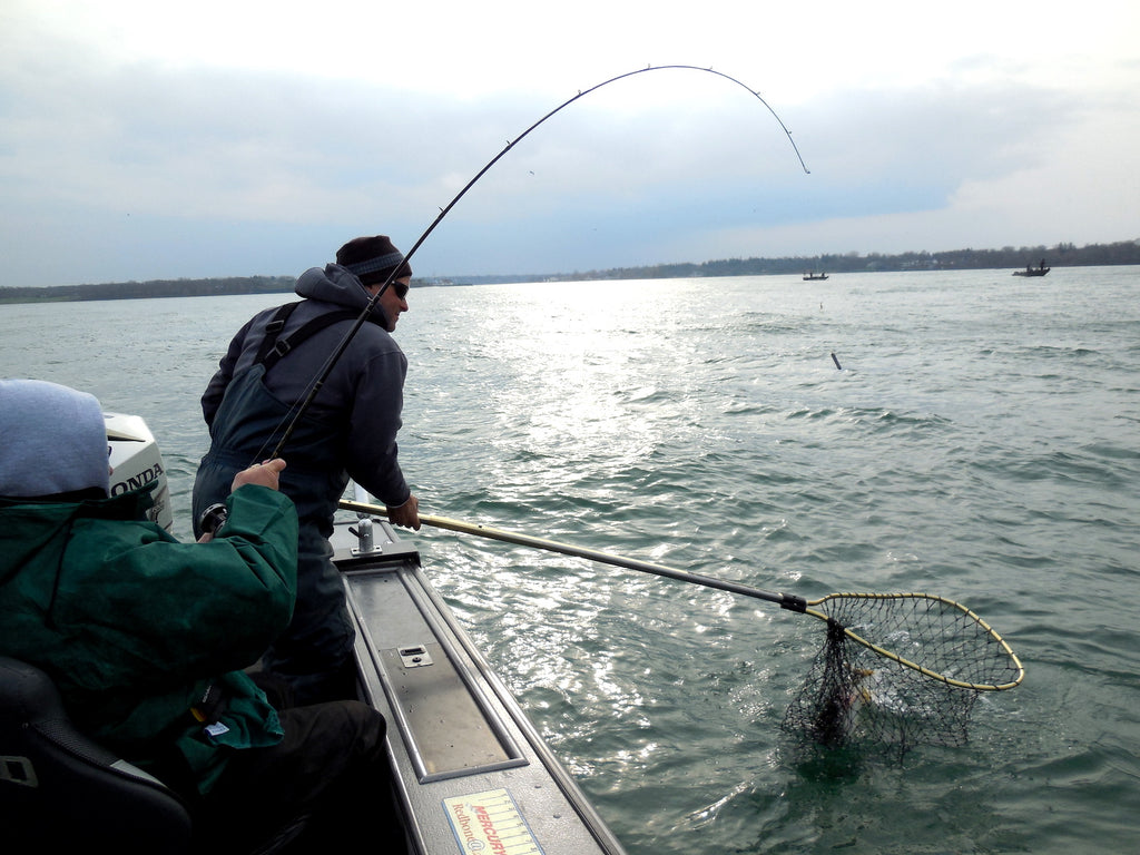 Lake Erie Shore Walleye by Paul Liikala – Great Lakes Angler