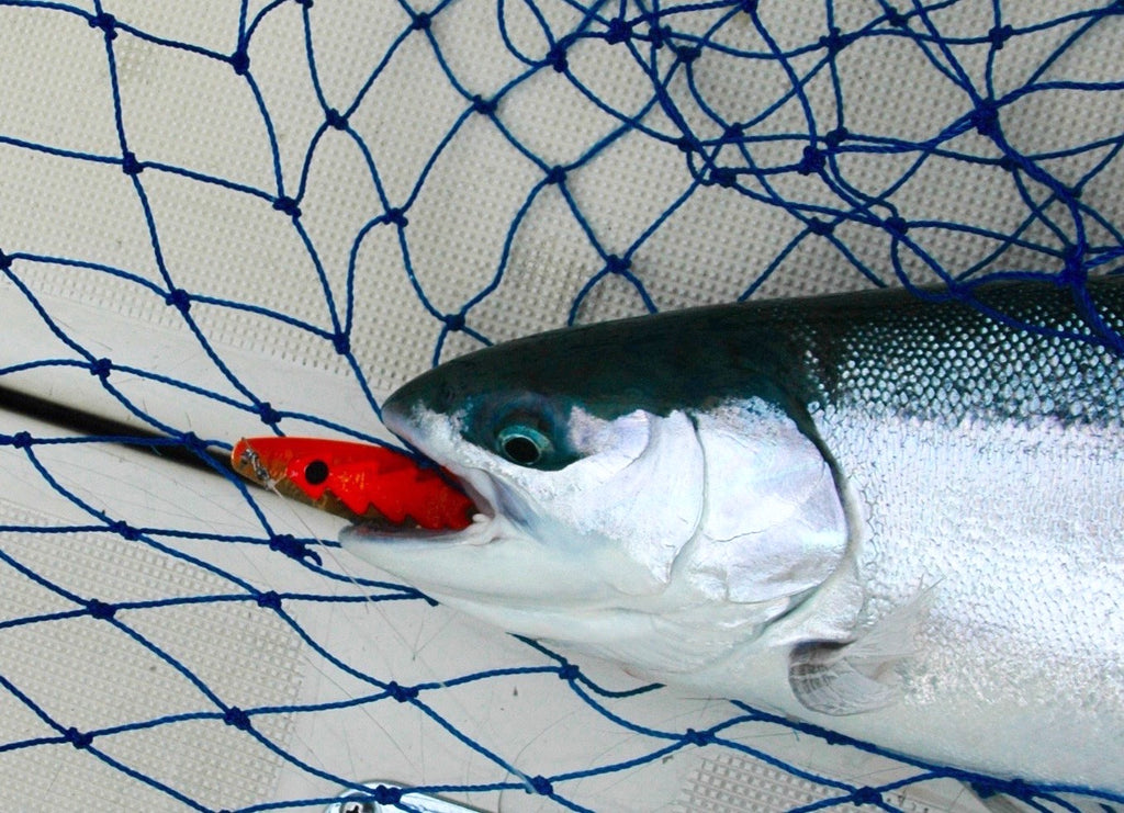 Adjusting the Trolling Spread by Capt. Dan Keating – Great Lakes