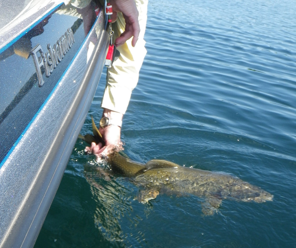 TROUT FISHING WITH A WATER BOBBER