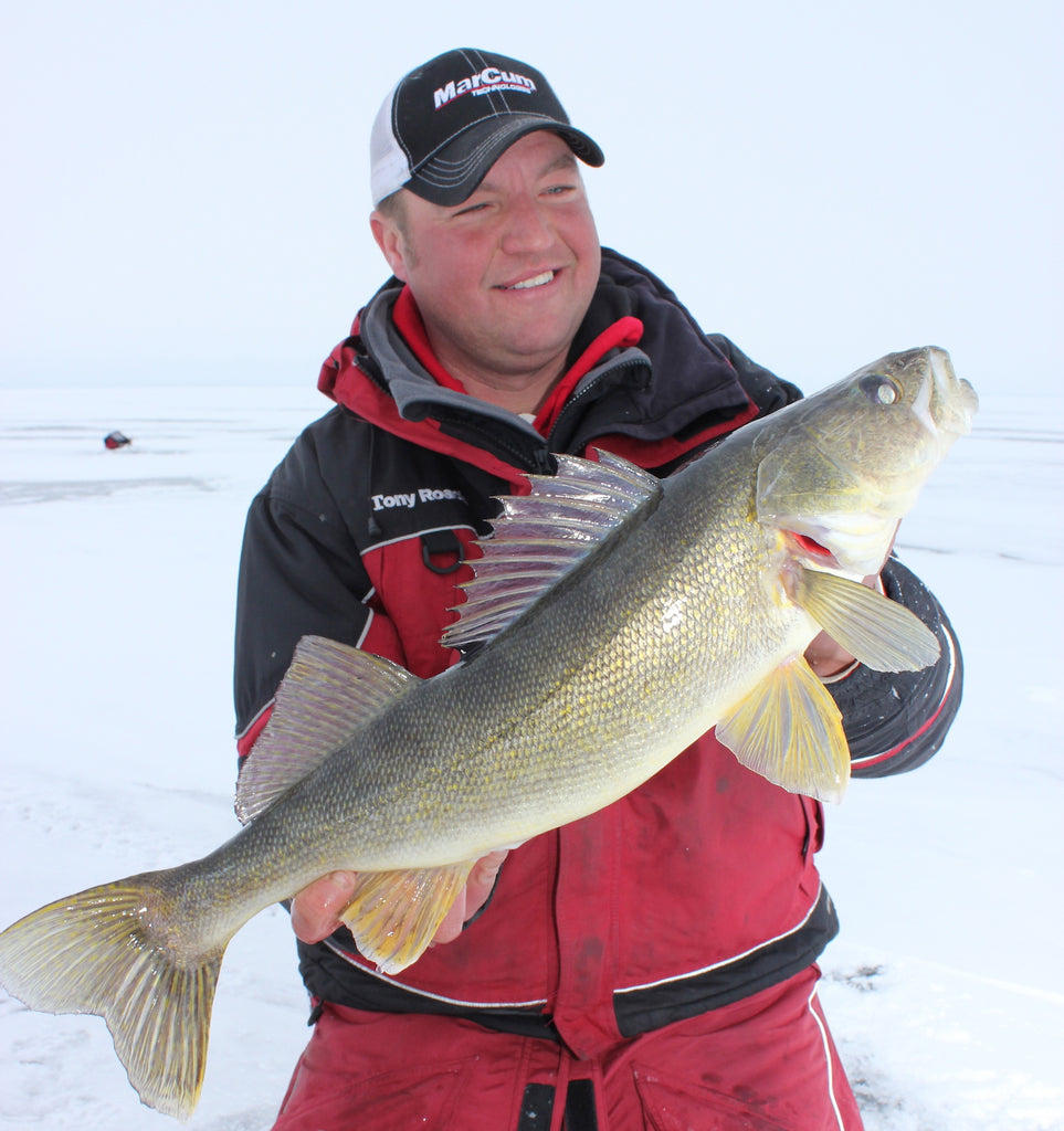 EARLY ICE WALLEYE LOCATIONS AND TACTICS - Rapala