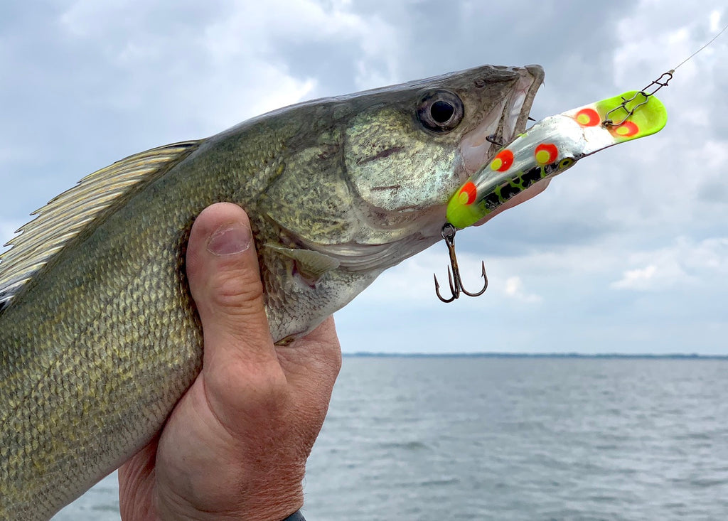 Saginaw Bay Walleye Fishing, Learn More About Lures & Trolling