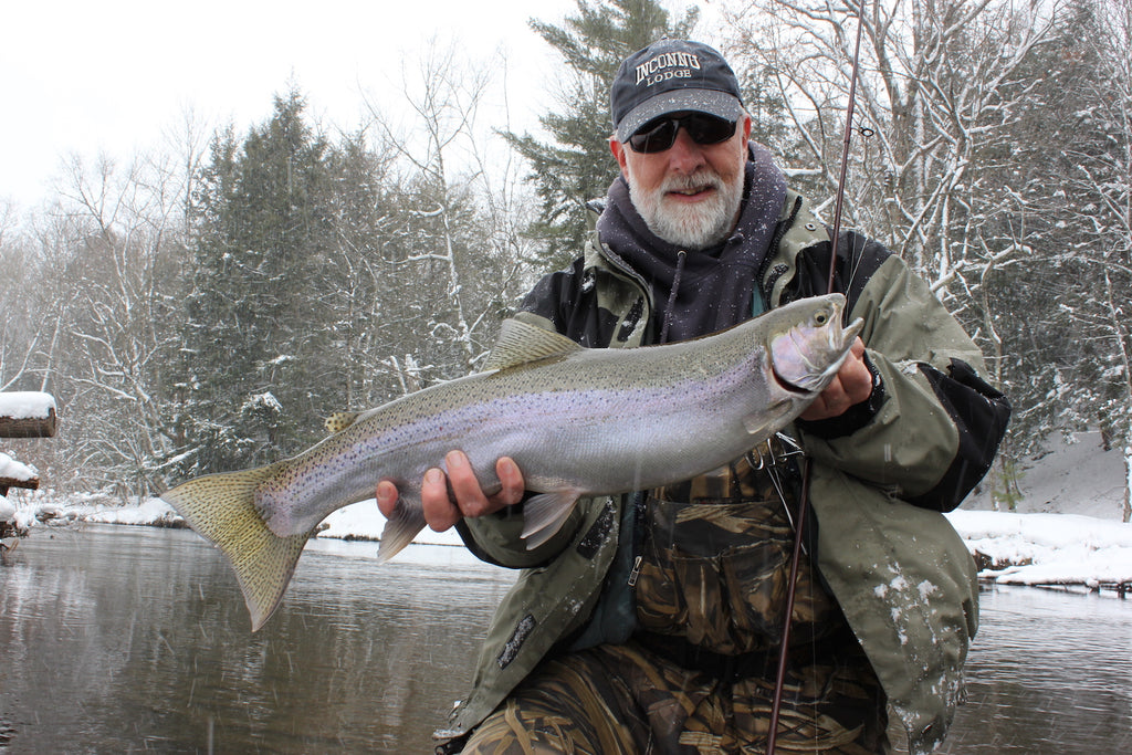 Steelhead Rules on Winter Streams by Matt Straw – Great Lakes Angler