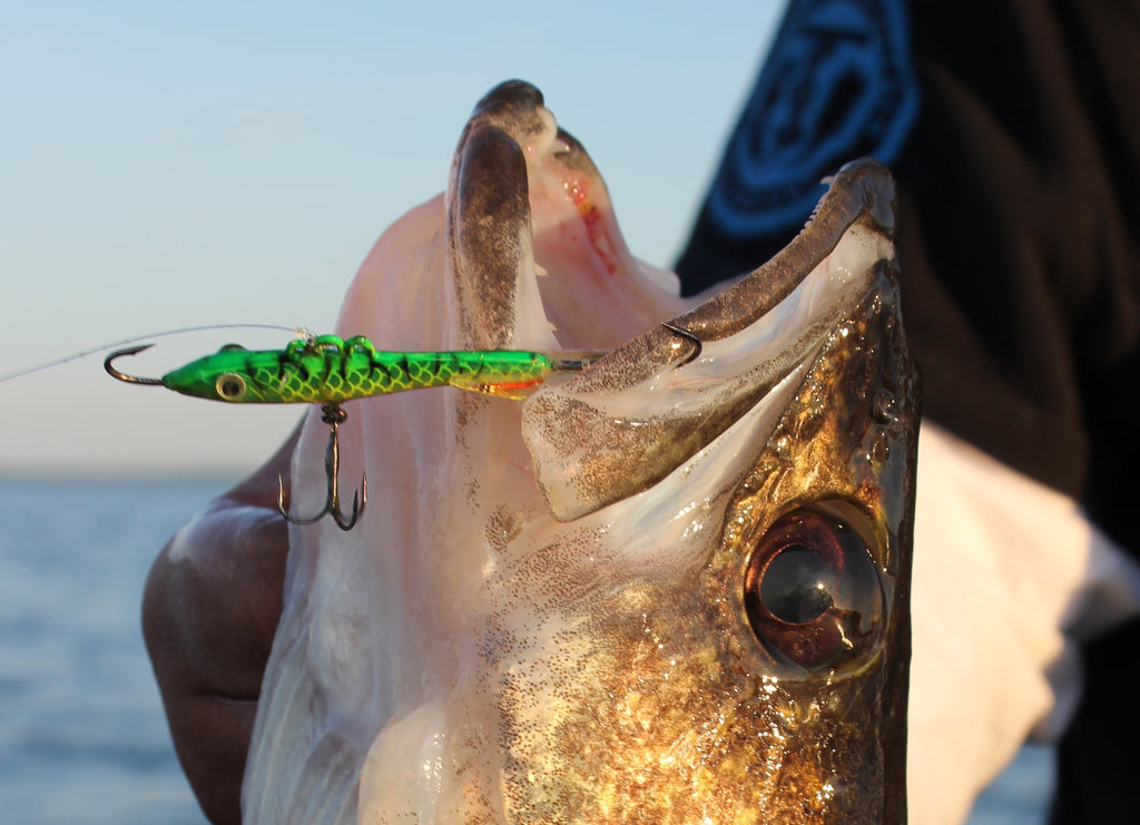How to Set Up for Jigging Walleye
