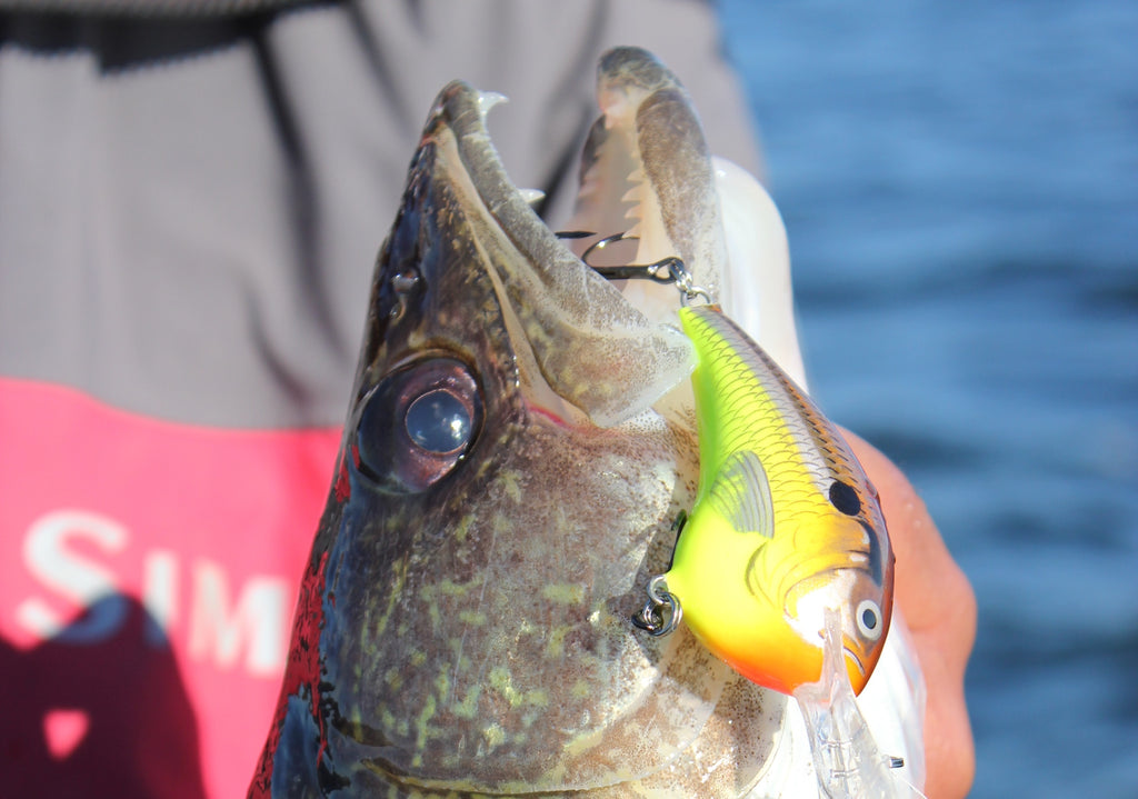 Casting for Walleyes on Crank by Matt Straw – Great Lakes Angler