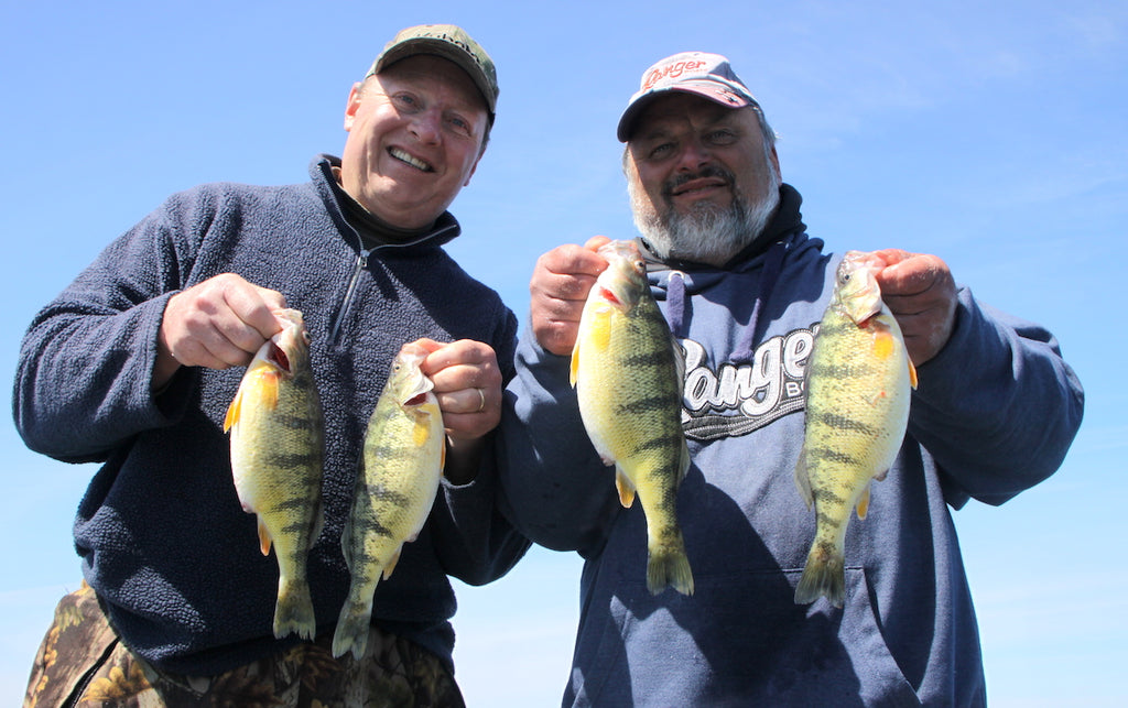 lake erie perch