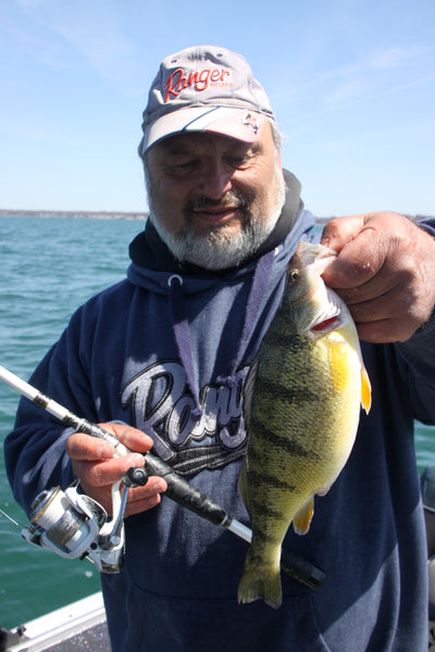 lake erie perch fishing