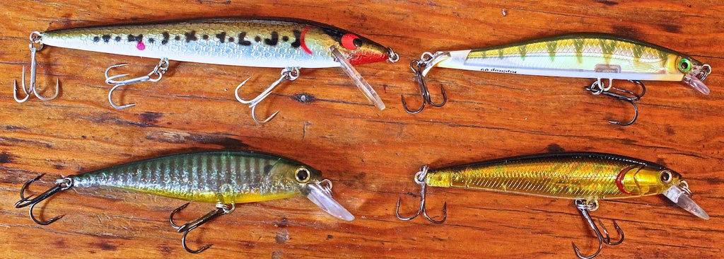 Jerkbait Bass - Building Suspense by Matt Straw – Great Lakes Angler