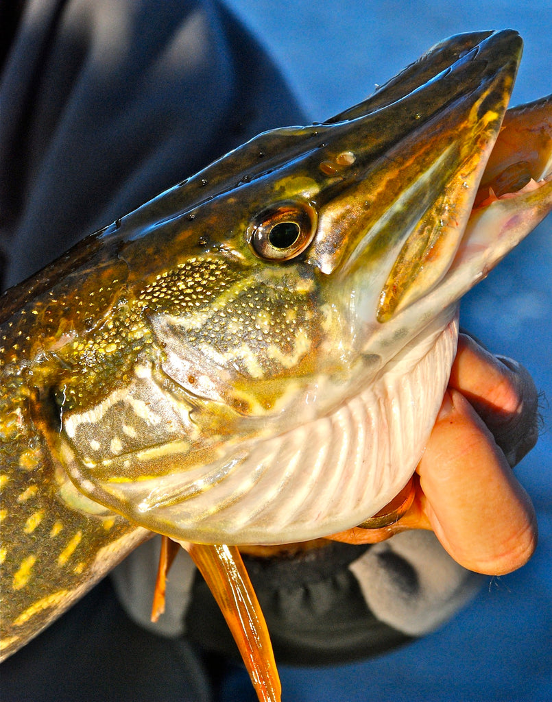 VINTAGE ICE FISHING Tip Ups Wooden Lot of 5 Green Hi - Flag Fish
