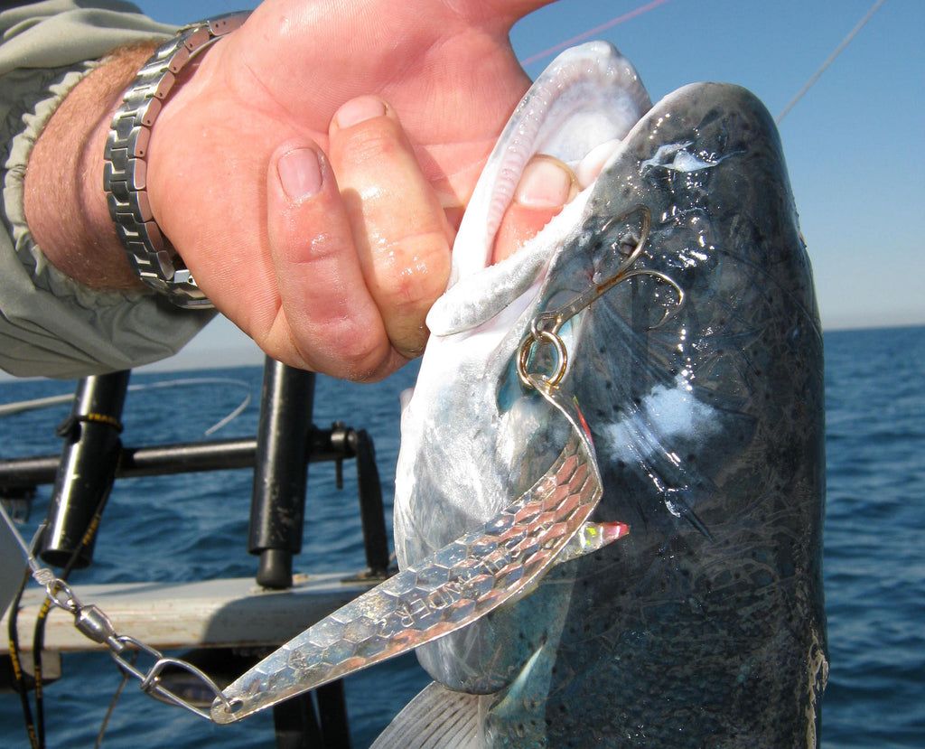 Snap (Swivel) Decisions by Capt. Mike Schoonveld – Great Lakes Angler