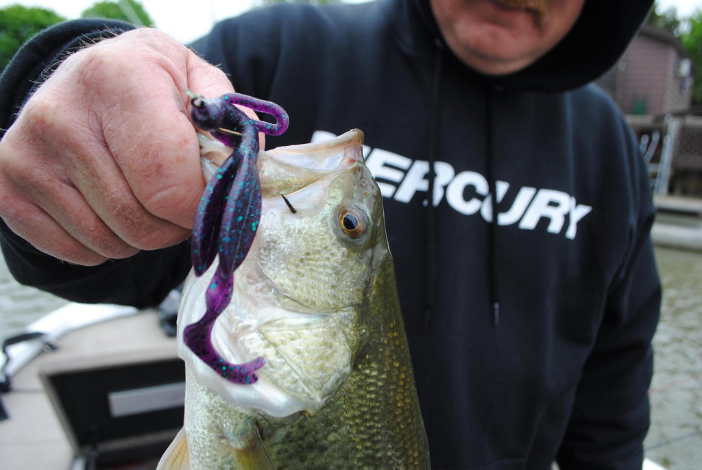 largemouth bass saginaw smallmouth great lakes fish fishing worm plastic