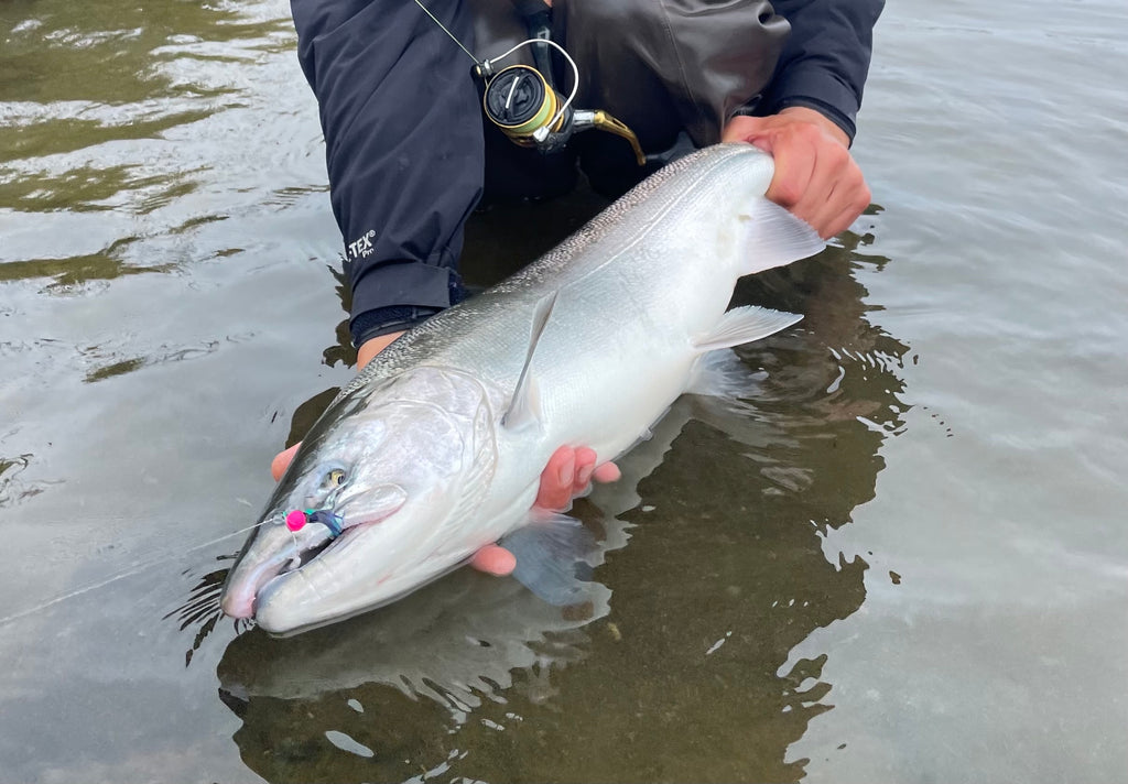 The Best Coho Salmon River in the World