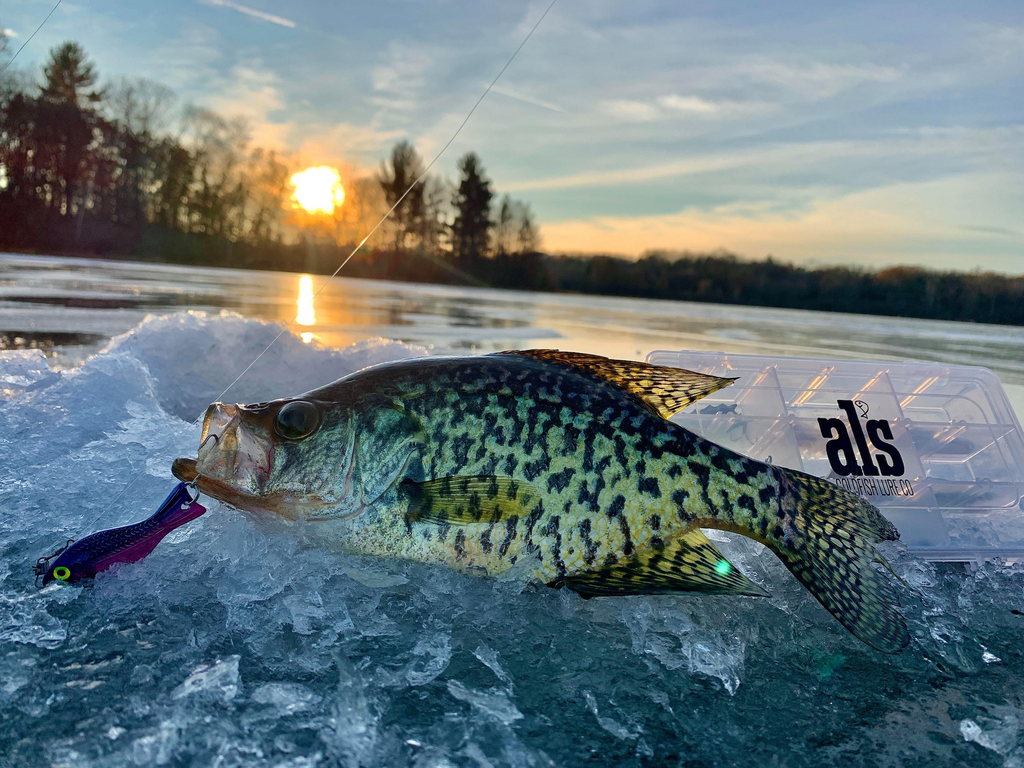 Crappie closet lures