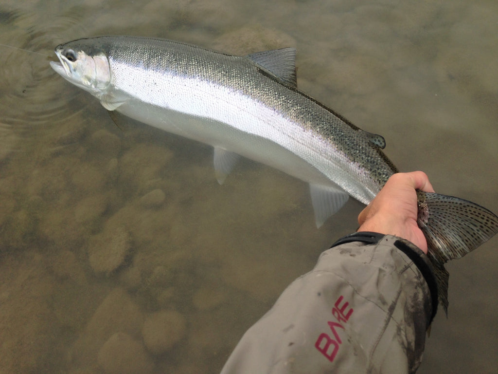 Dave's In-Line Pack | 9 Piece Steel Fishing Weights - BnR Tackle