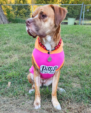 PitBull pride shirt pink and orange "Pitbulls are love"