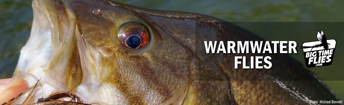 Warmwater Flies - Bass, Pike, Musky, Carp, and Panfish Flies