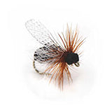 Foam Flying Ant - Best Flies for First Fly Box - Terrestrials - Fly Fishing Flies