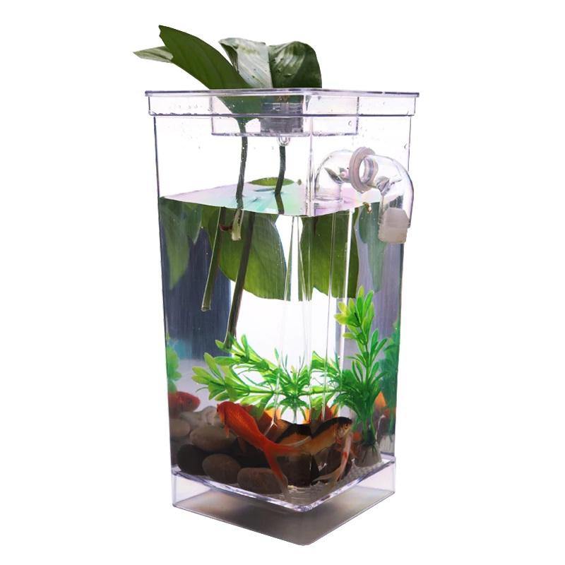 My Fun Fish Tank Self Cleaning Betta Fish Small Aquarium For Kids 12 Dazzool Com