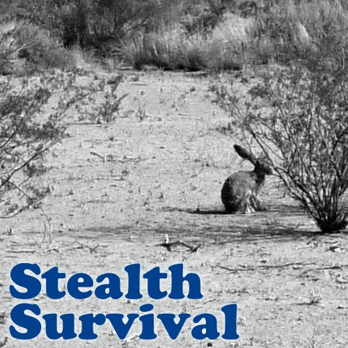 Stealth Survival