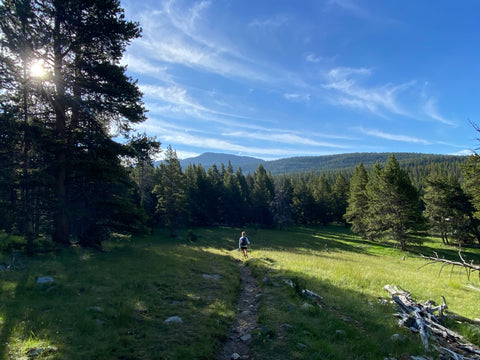 A hiker on a trail