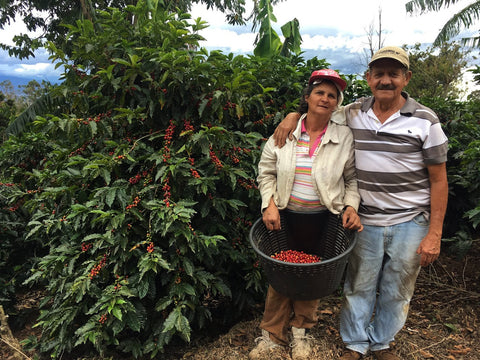 Ritual Coffee Costa Rican Single Origin