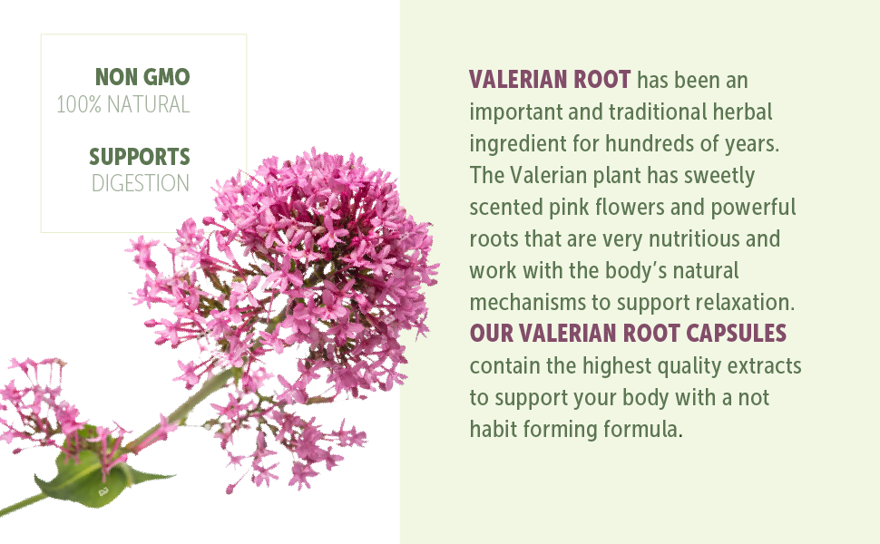 valerian root capsules extract herb sleep aid 3000mg
