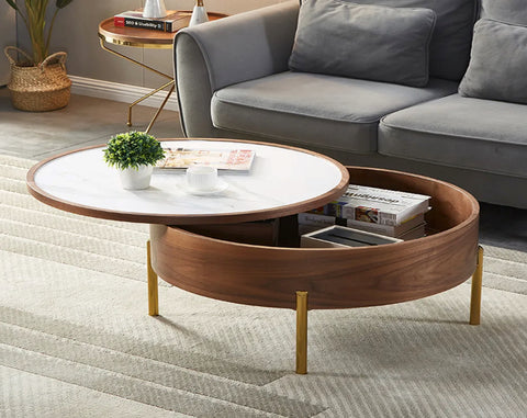 Storage Coffee Table