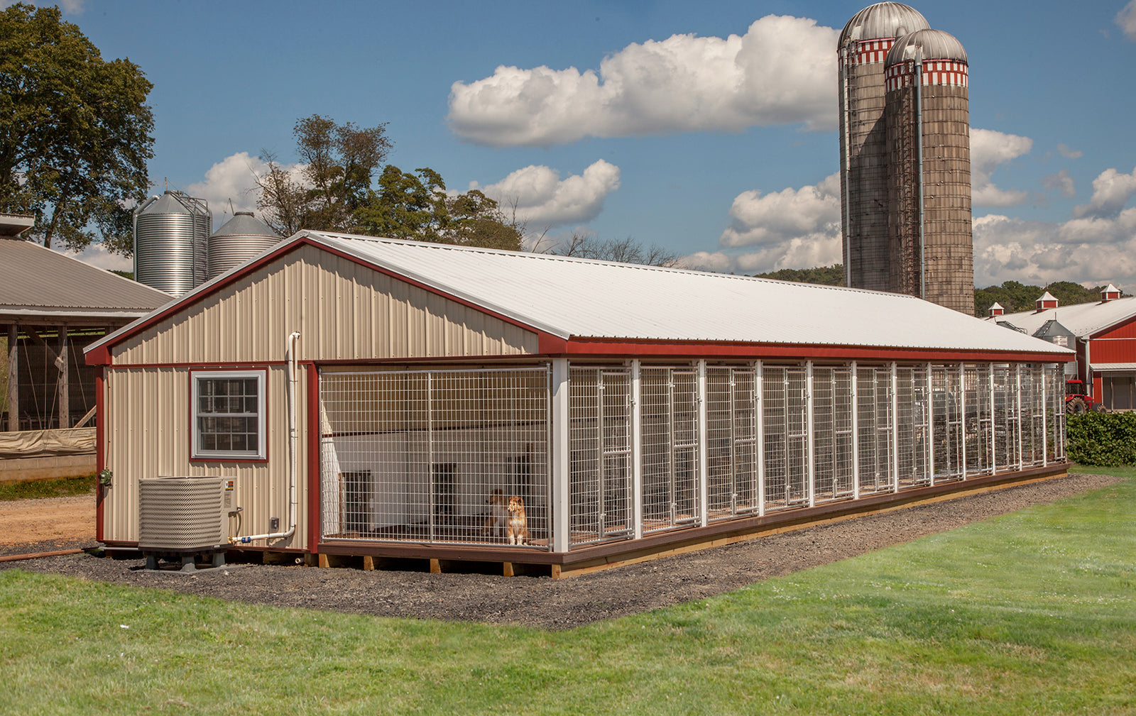 pet barn kennel