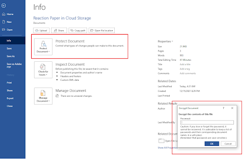 secure your ms word documen tthought passwords