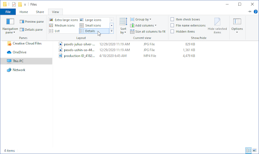 File Explorer > View