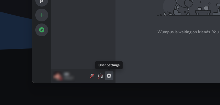 BetterDiscord user settings