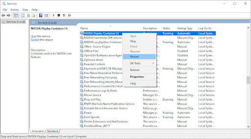 NVISIA Display controler LS