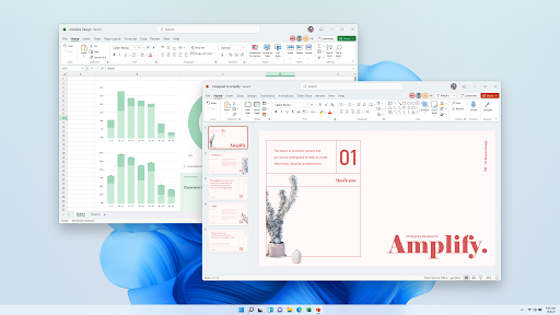 Microsoft Office 2021 Productivity