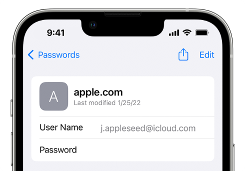 iphone password detailed view