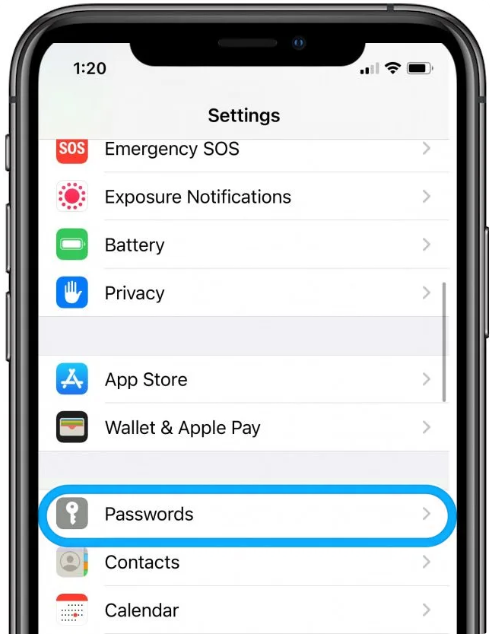 iphone passwords