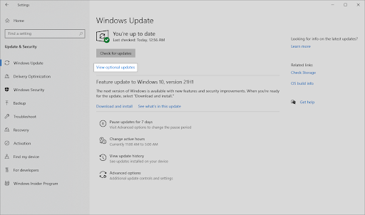 Windows Update > View optional updates