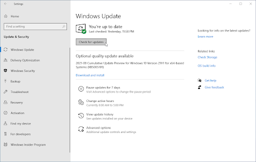 search windows update